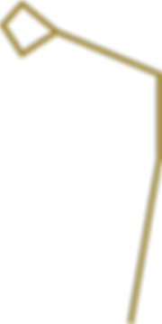 Vector 17.png